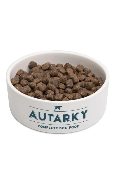 Adult Salmon Kibble Bowl