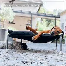 HiK9 Hondenstretcher