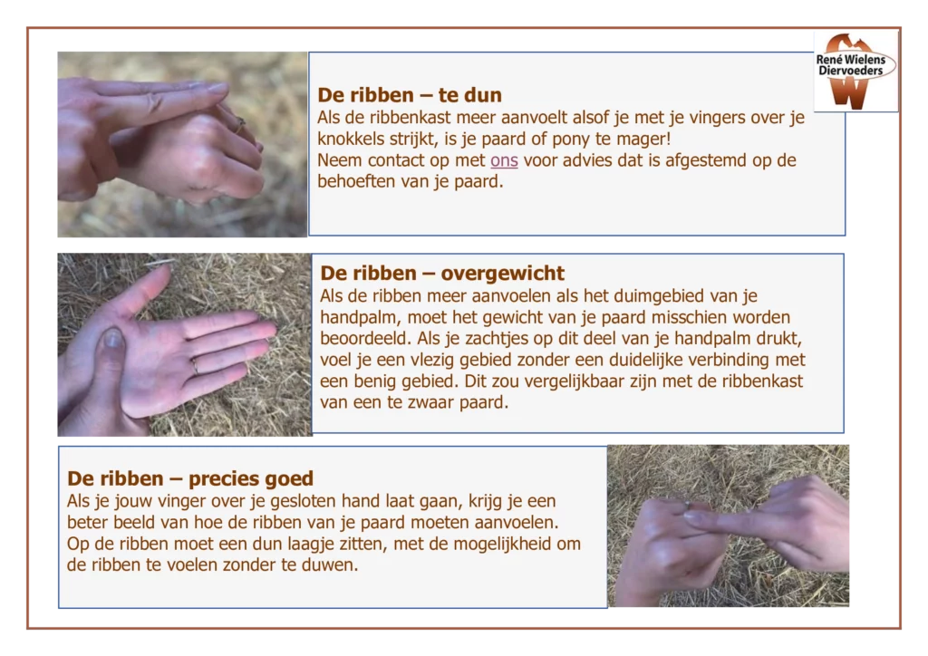 Tip vetscore ribbenkast