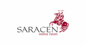 Saracen