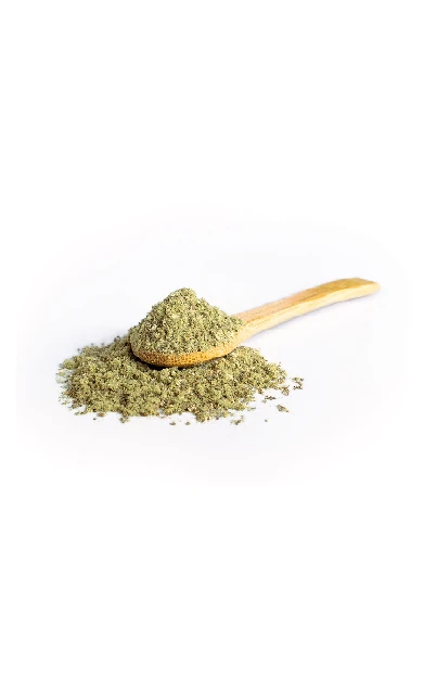 Bergsiegel Herb Care Hepar 