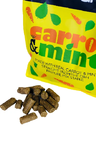 Carrot & Mint Treats