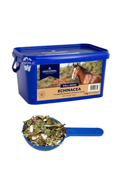 Dodson & Horrell Echinacea