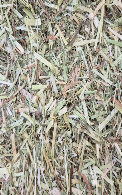 Fibre chaff