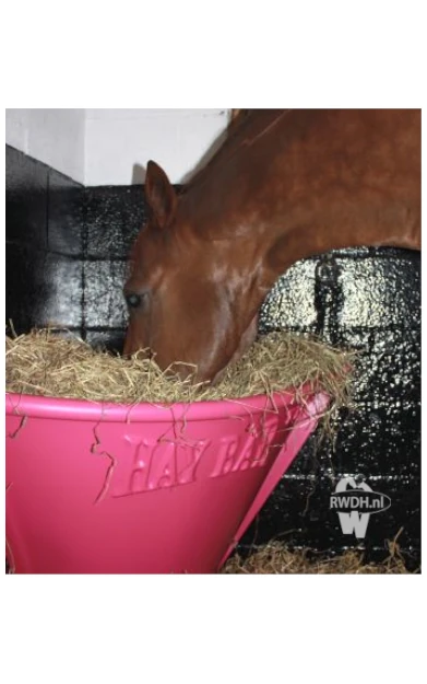 Horse Hay Bar Pink Roze