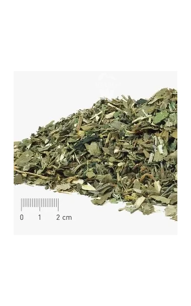 Bergsiegel Huf-Wohl