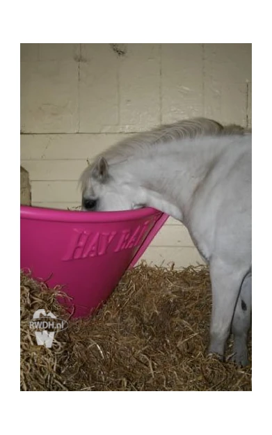 Pony Hay Bar Pink Roze