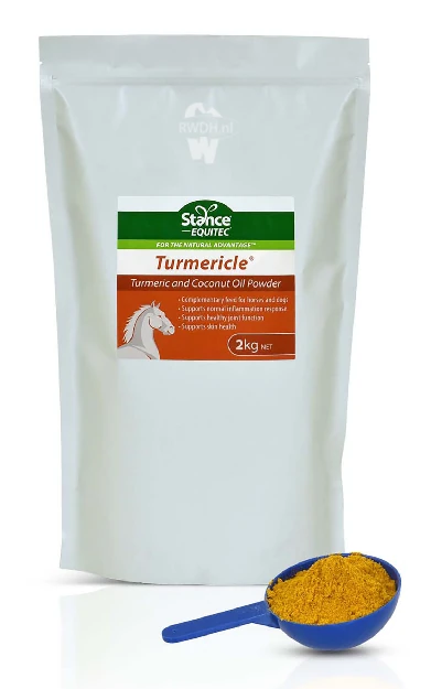 Stance Equitec Turmericle