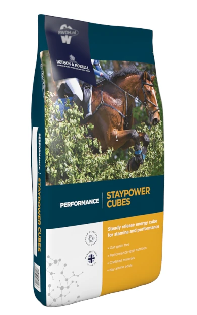 Dodson & Horrell StayPower Cubes