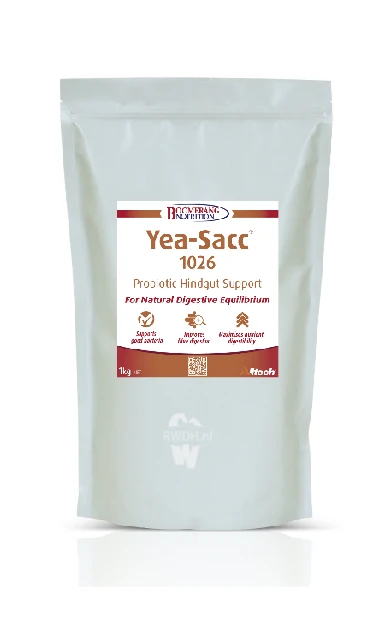 Yea Sacc 1026