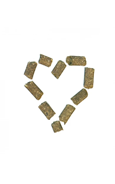 Agrobs WiesenBussi